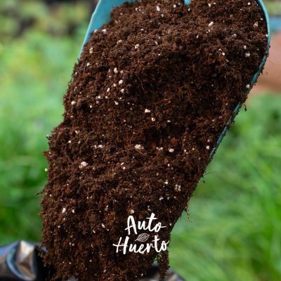Sustrato para plantas y suculentas