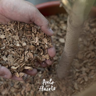 Mulch cascara de nuez